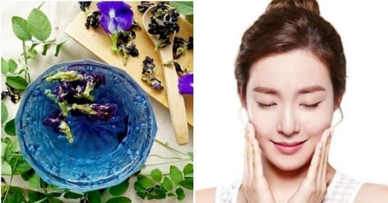 Uống trà hoa đậu biếc mỗi ngày có tốt không? Cách uống đúng là gì? 2