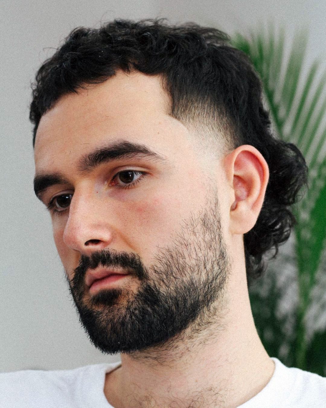 Dense Volume with Bright Low Fade