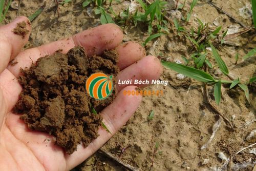 Kết cấu của đất