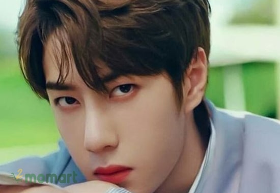 Thử ngay màu tóc nâu khói độc đáo