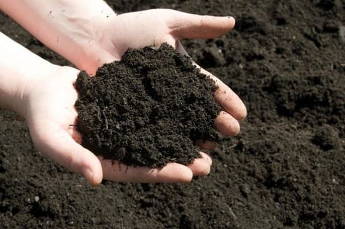 Which soil retains water the best among the 3 types: clay soil, loam soil, and sandy soil?
