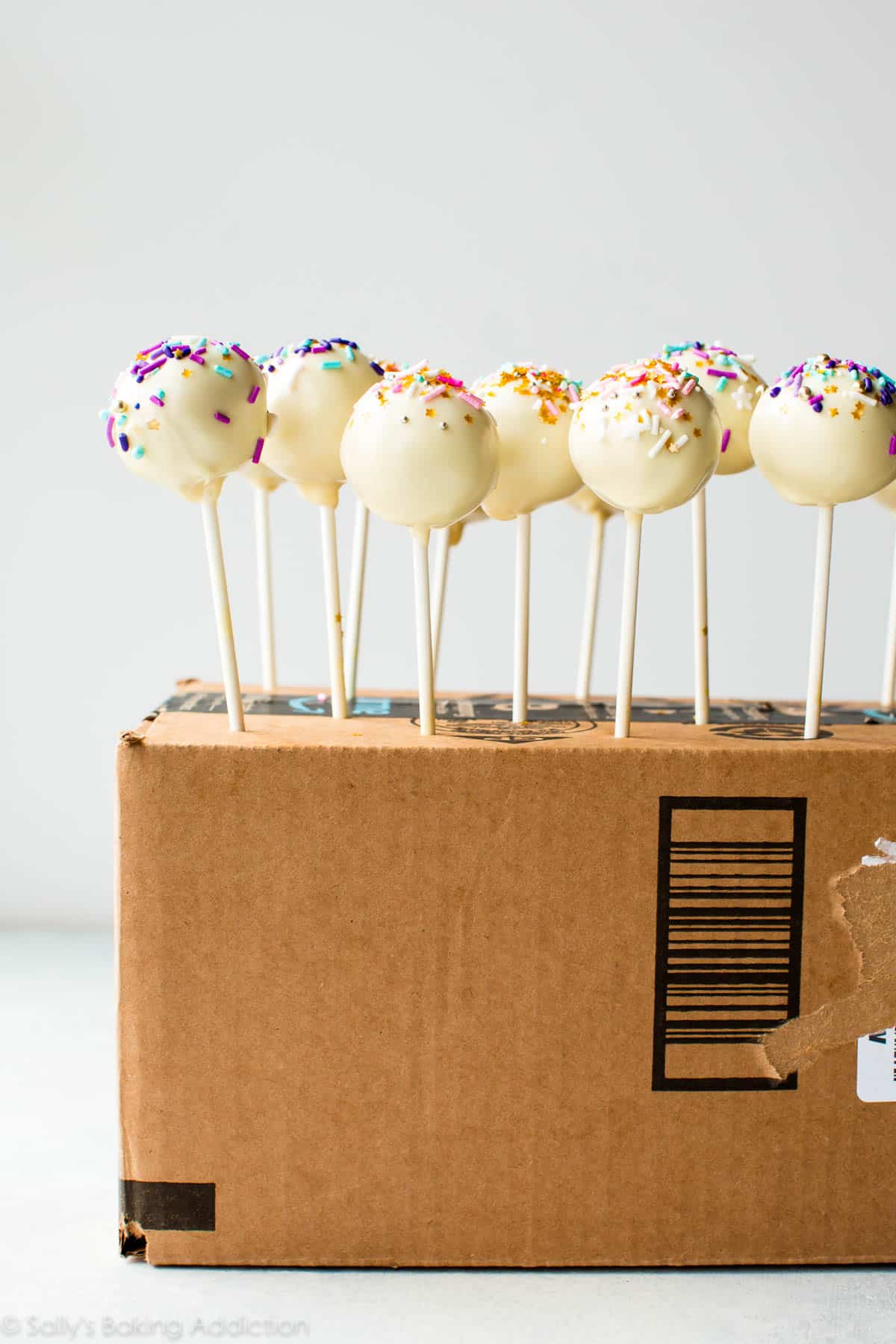 vanilla cake pops stuck into a cardboard box to dry